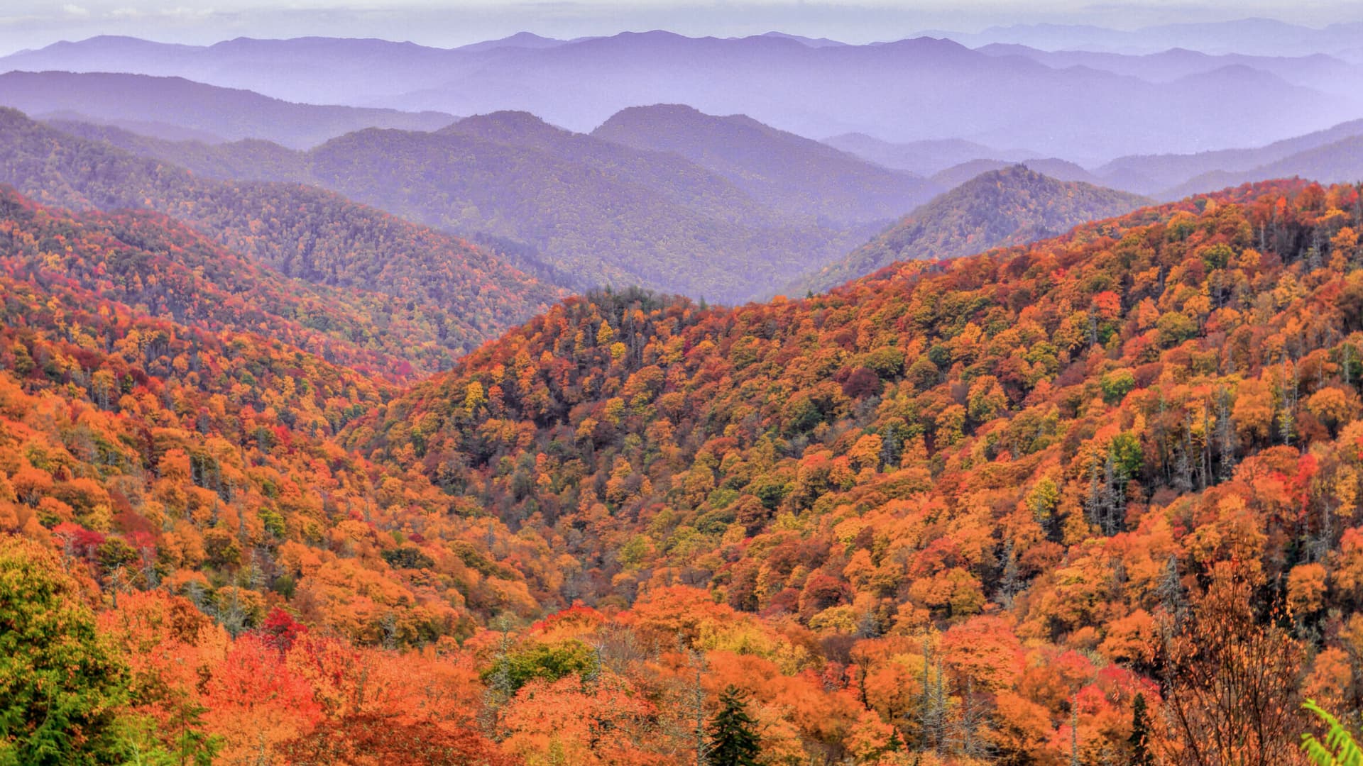 North Carolina